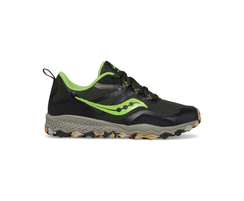 Saucony Peregrine 12 Shield