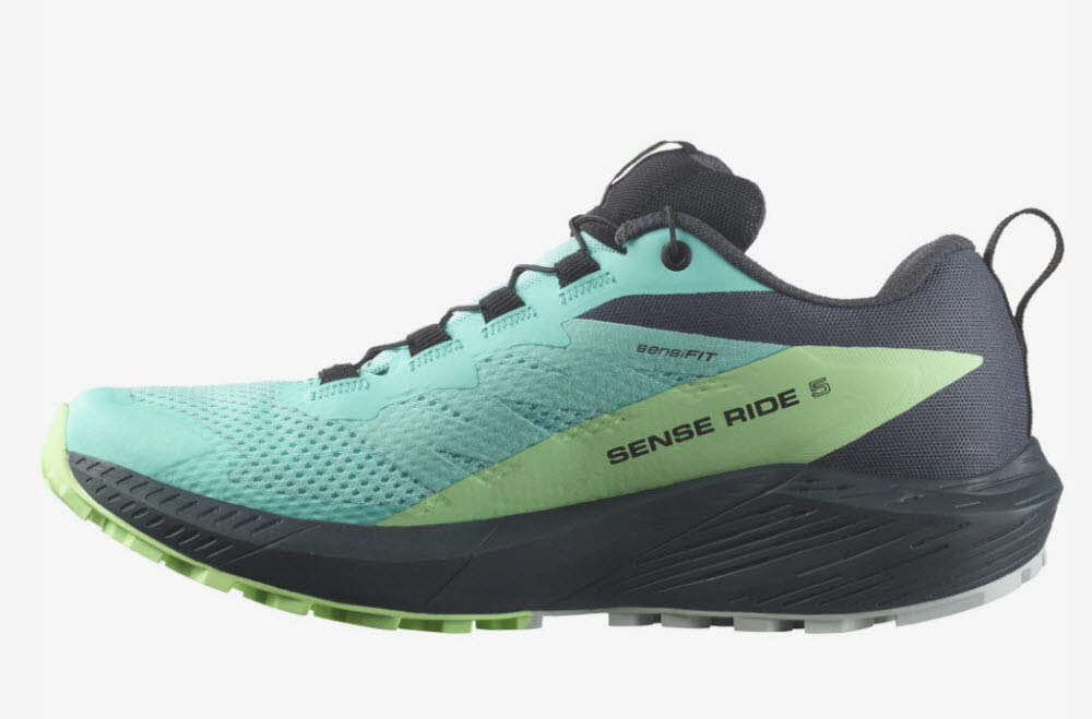 Salomon SENSE RIDE 5 GTX W Blra/Gre