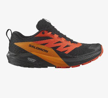 Salomon SENSE RIDE 5 GTX Black/Scar