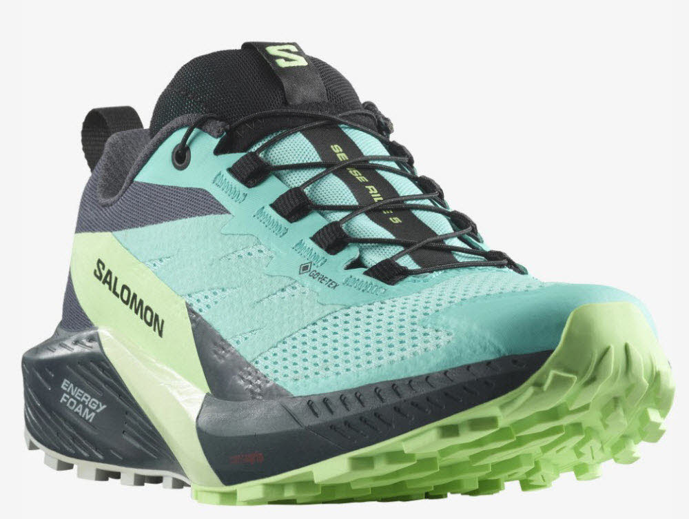 Salomon SENSE RIDE 5 GTX W Blra/Gre