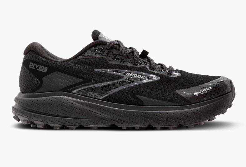 Brooks Divide 5 GTX