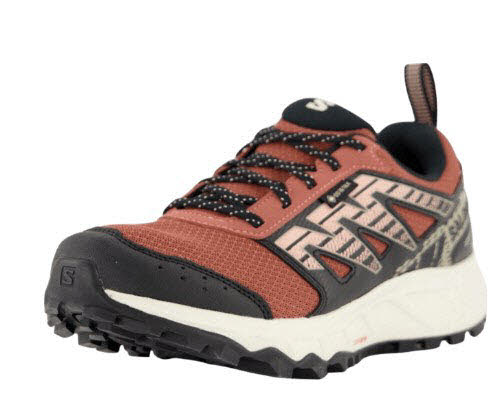 Salomon Wander GTX W