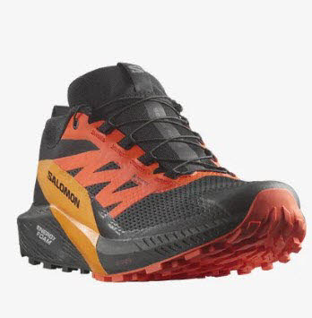 Salomon SENSE RIDE 5 GTX Black/Scar