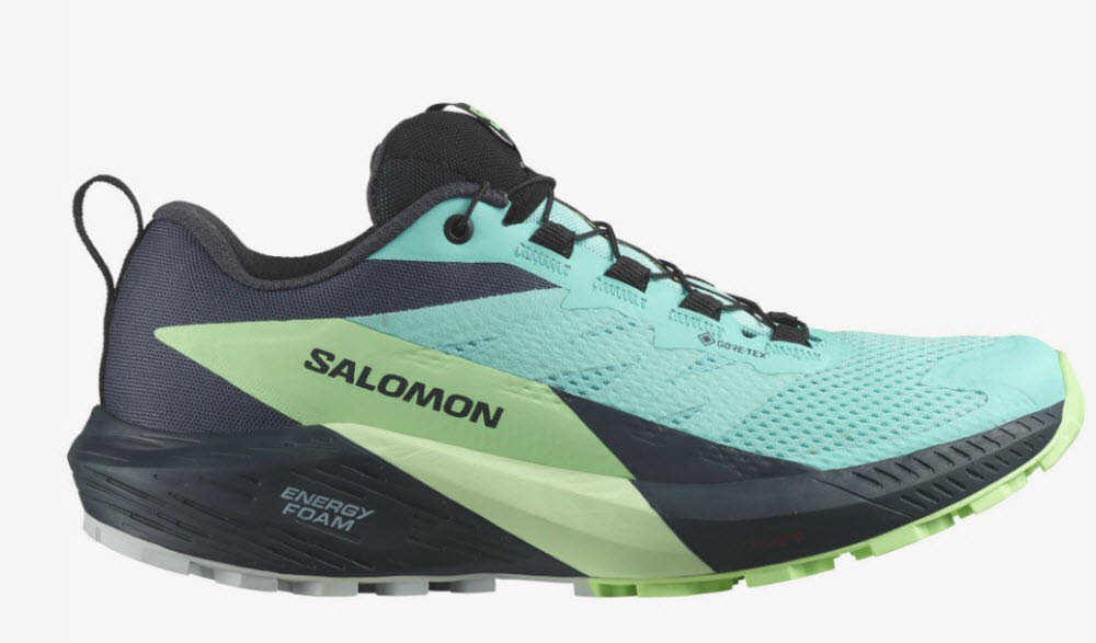 Salomon SENSE RIDE 5 GTX W Blra/Gre