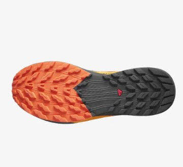 Salomon SENSE RIDE 5 GTX Black/Scar