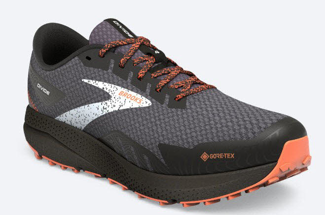 Brooks Divide 4 GTX